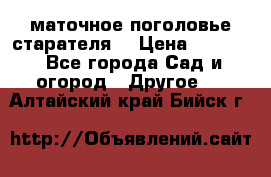 маточное поголовье старателя  › Цена ­ 3 700 - Все города Сад и огород » Другое   . Алтайский край,Бийск г.